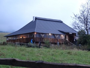dsc00562.jpg
