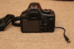 450D_3.jpg