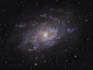 M33_FINAL3FO.jpg