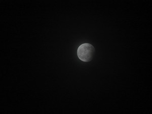 DSC02178.JPG