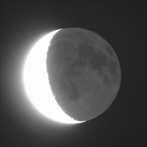 Światło popielate_4s_28.12.2013r_30%....jpg