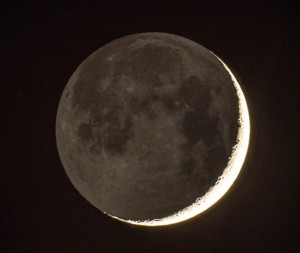 _DSC2712crop.jpg