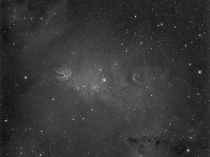 NGC 2264.jpg