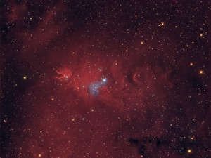 NGC 2264.jpg