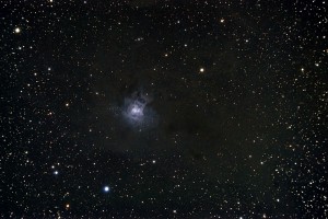 iris5.jpg