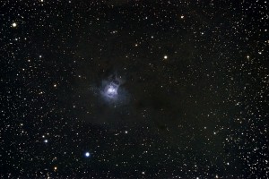 iris6.jpg