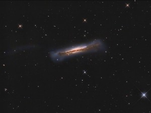 M66_FINAL11CROPF.jpg