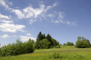 DSC_2753.jpg