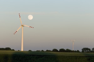 IMG_3928.jpg