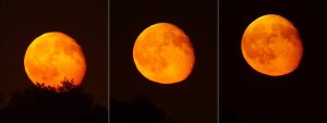Wschód czerwonego Księżyca_15.06.2014r_ED80F600_LumixG3....jpg