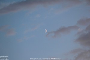 IMG_3018_small.jpg