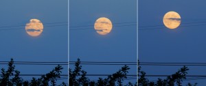 Księżyc na pięciolinii_10.08.2014r_20.12cwe..jpg
