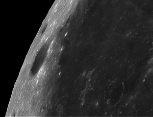 moon (12).png