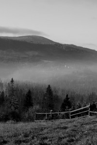 IMG_1799 (Kopiowanie).jpg
