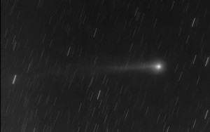 2014-01-13-lovejoy.jpg