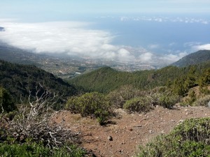 20150312_140646.jpg