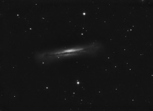 NGC 3628 BW.jpg