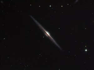 NGC 4565.jpg