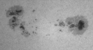 AR 2381_7.07.2015_05.33UT_MAK150_B2x_ASI120M_SolCont-UVIRcut_ND3.8_resize70%....jpg