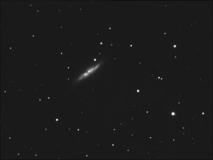 m82 1.jpg