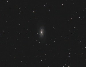 new2903.jpg
