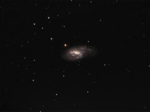 M66.jpg