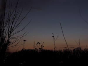 dscn1349.jpg