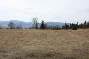 IMG_1656.JPG