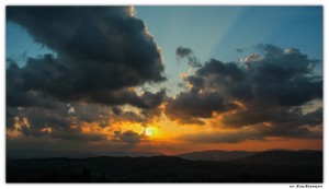 IMG_4540-2-s-t.jpg