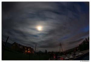 IMG_4595-2-s-t.jpg