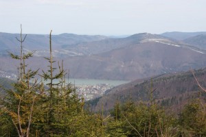 IMG_1695.JPG