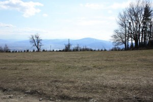 IMG_1728.JPG