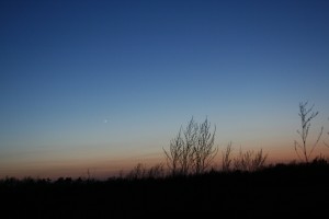IMG_0741a.jpg
