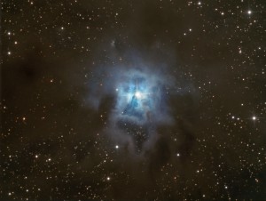 NGC7023 www.jpg