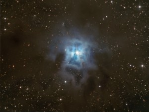 NGC7023 www.jpg