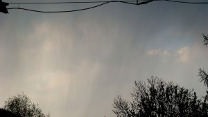 DSC04967.JPG
