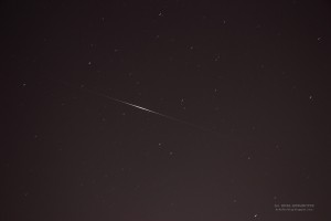 IMG_9786-wm.jpg