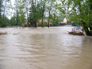 Obraz 009.jpg