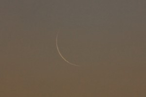 IMG_4182.jpg