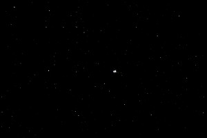 Albireo 1.JPG
