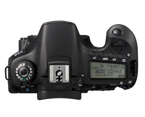 37542_canon_60d_13.jpg