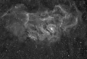Laguna-15x900Ha-bezDDP v555.jpg