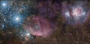 ORION.jpg