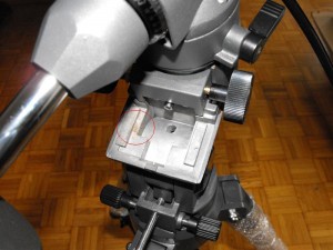 DSCF1516 (Medium).jpg