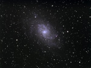 M33 Jacka.jpg