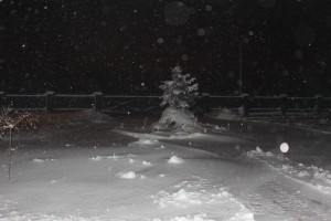 IMG_4031.JPG