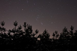 Orion 05.01.2011.JPG