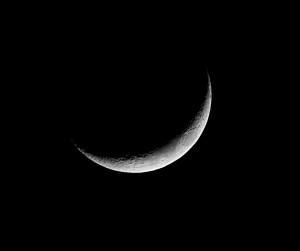 Moon 08 03 2011.JPG