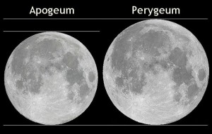 perygeum.jpg