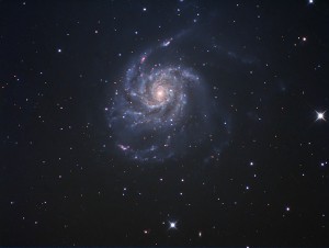 m101_mk.jpg